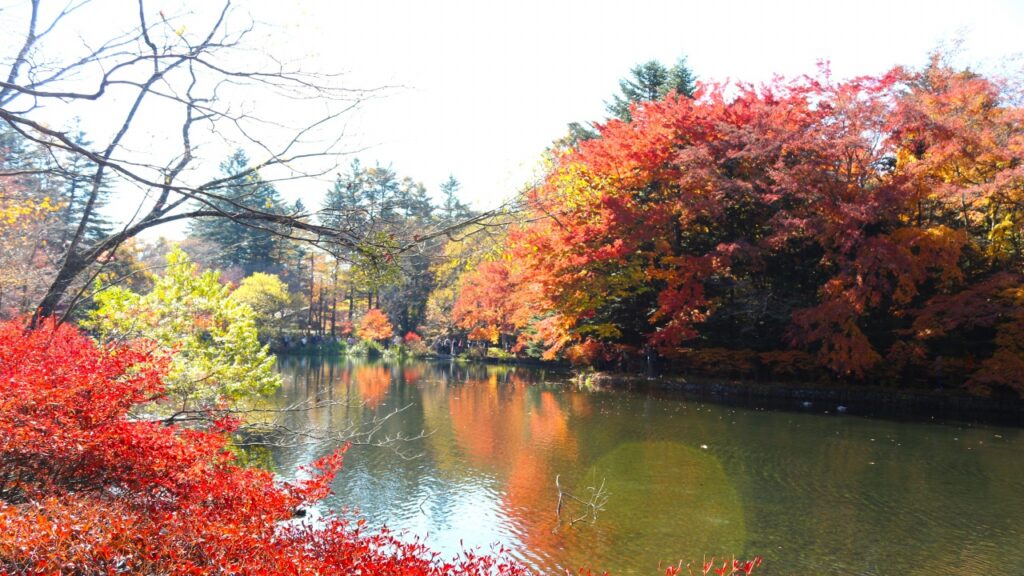 軽井沢 雲場池