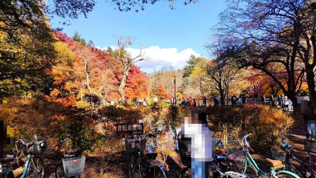 軽井沢 雲場池