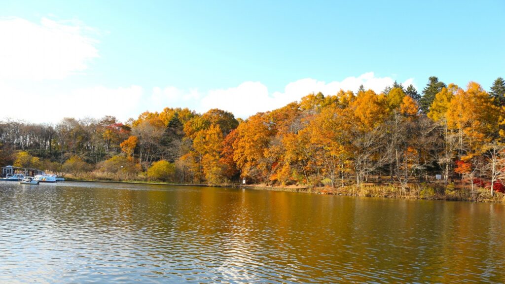 軽井沢タリアセン 塩沢湖