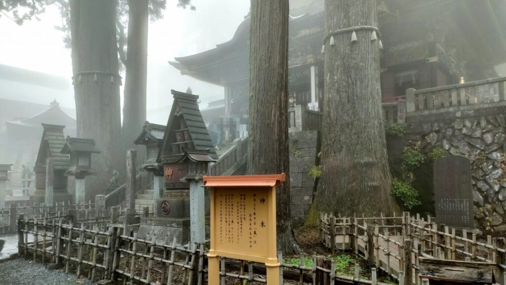 三峯神社　神木　霊験あらたかに霧がかかる