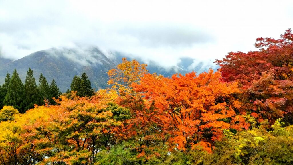 三峰神社の紅葉