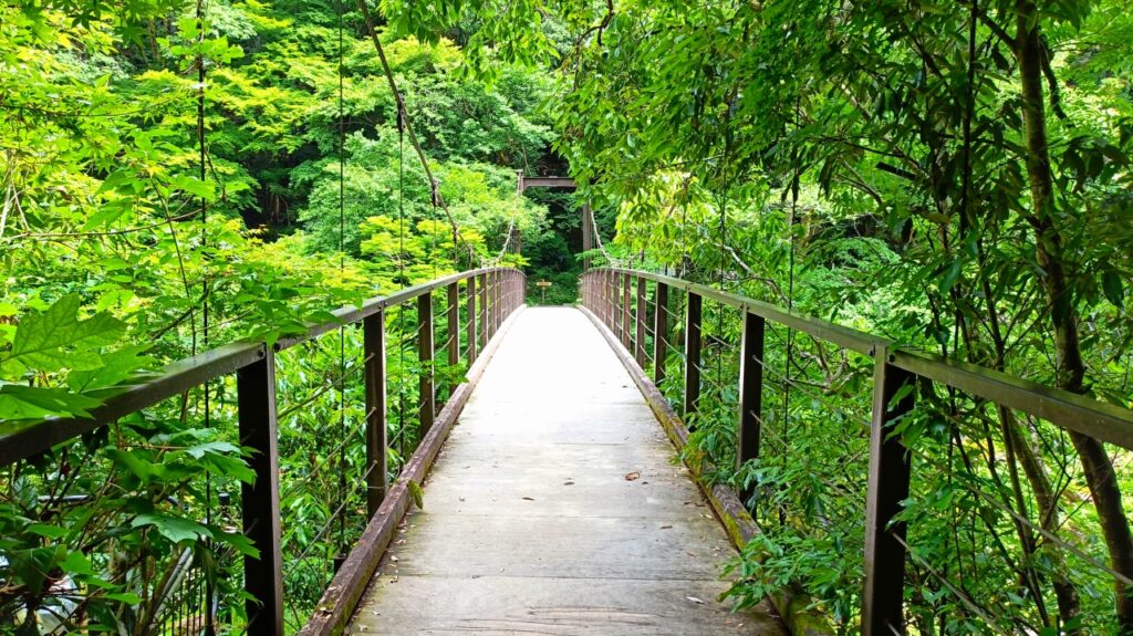 鳩ノ巣小橋（はとのすこはし）