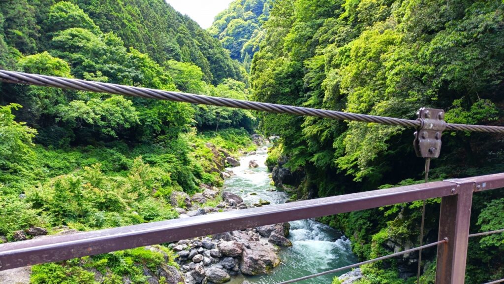 鳩ノ巣小橋（はとのすこはし）から見た多摩川