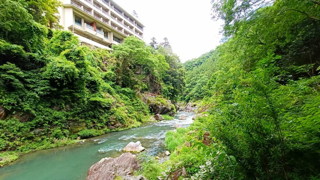 鳩ノ巣渓谷　はとのす荘