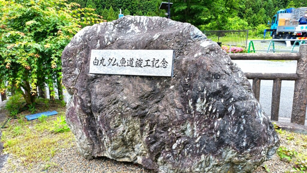 白丸ダム　魚道（ぎょどう）