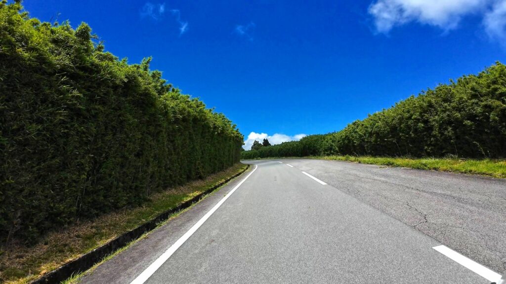 箱根　芦ノ湖スカイライン