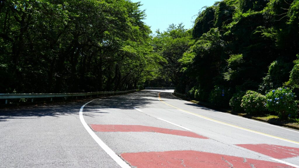 箱根ターンパイク　御所の入駐車場