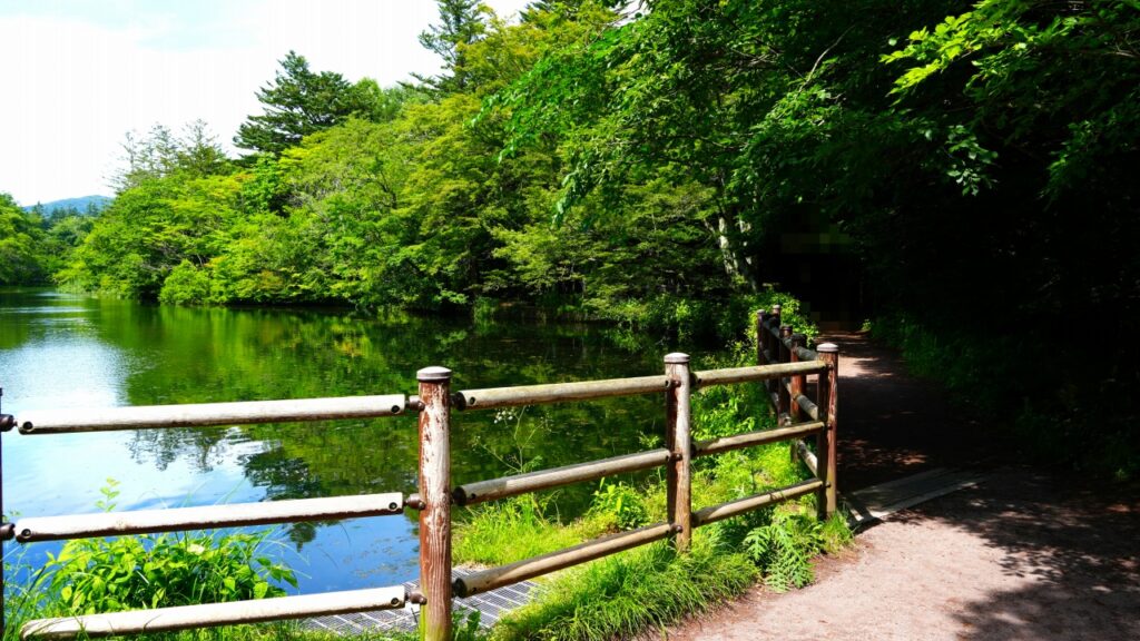 軽井沢 雲場池
