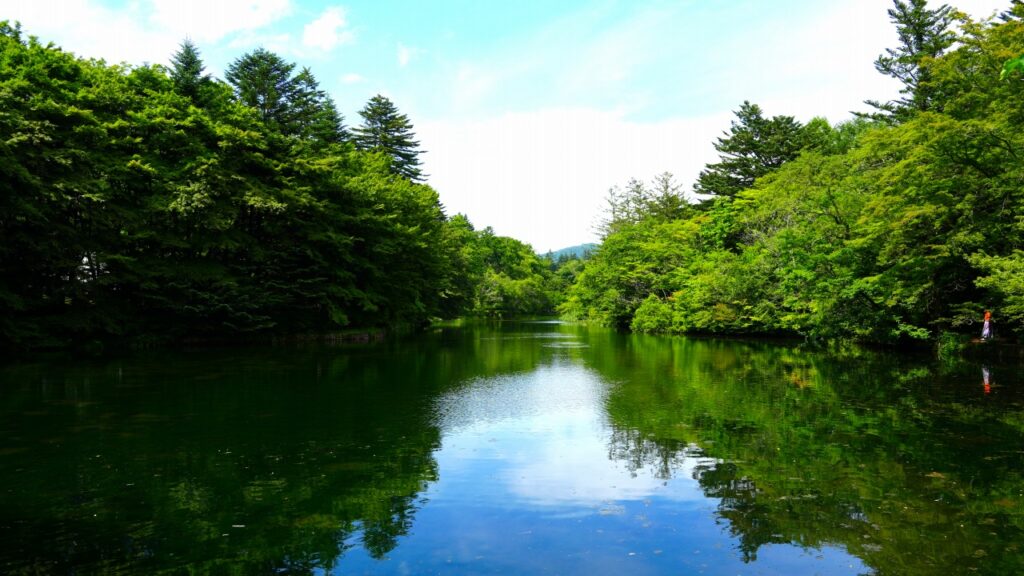 軽井沢 雲場池