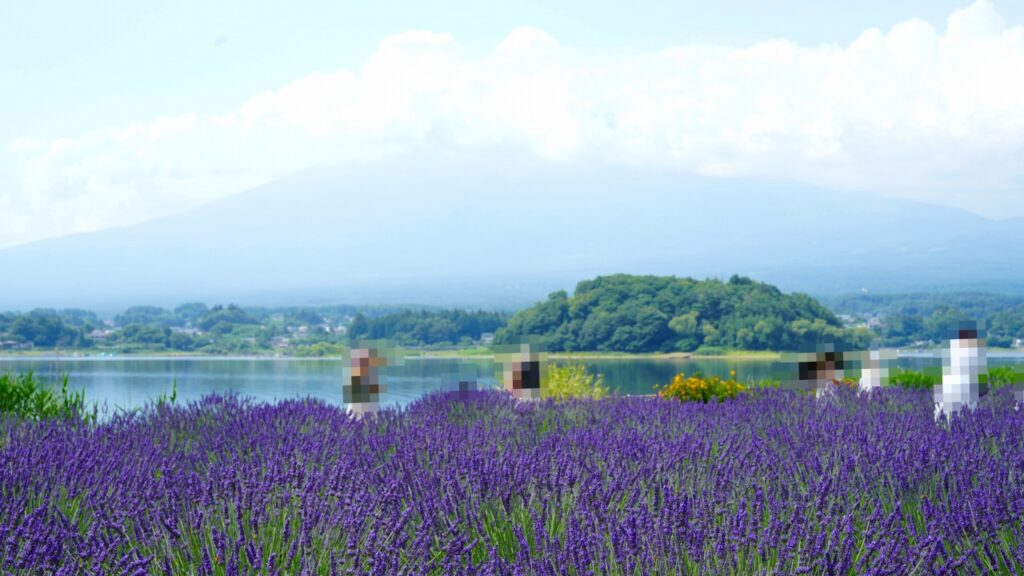 河口湖 大石公園