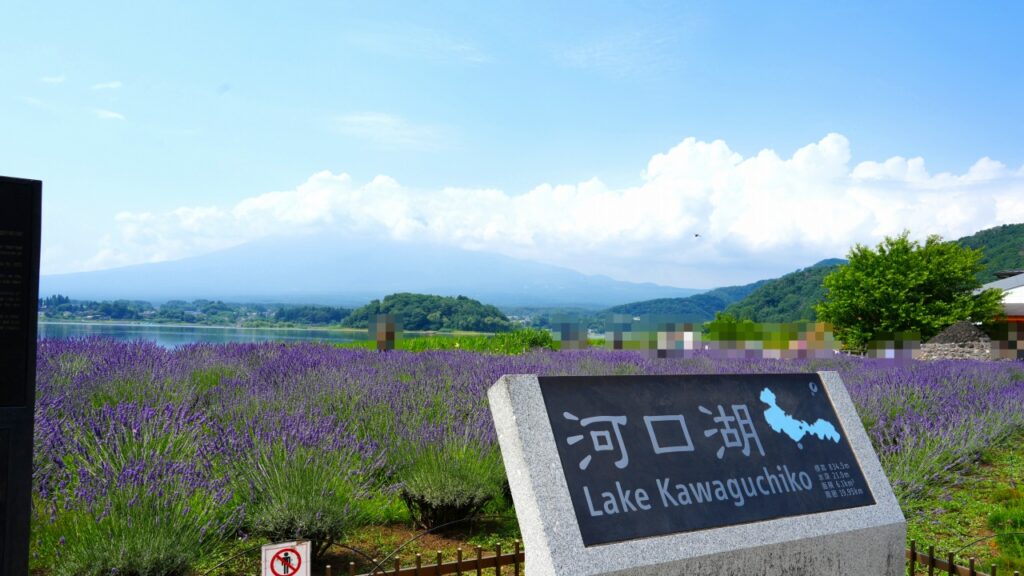 河口湖 大石公園