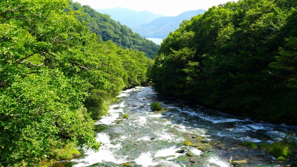 日光 竜頭の滝