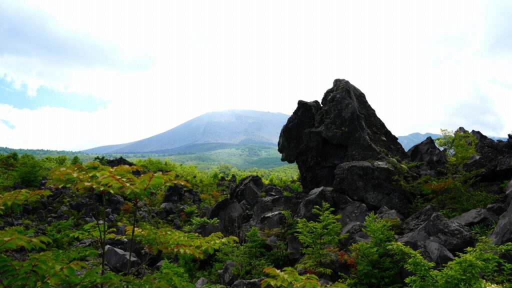 浅間山　鬼押出し園