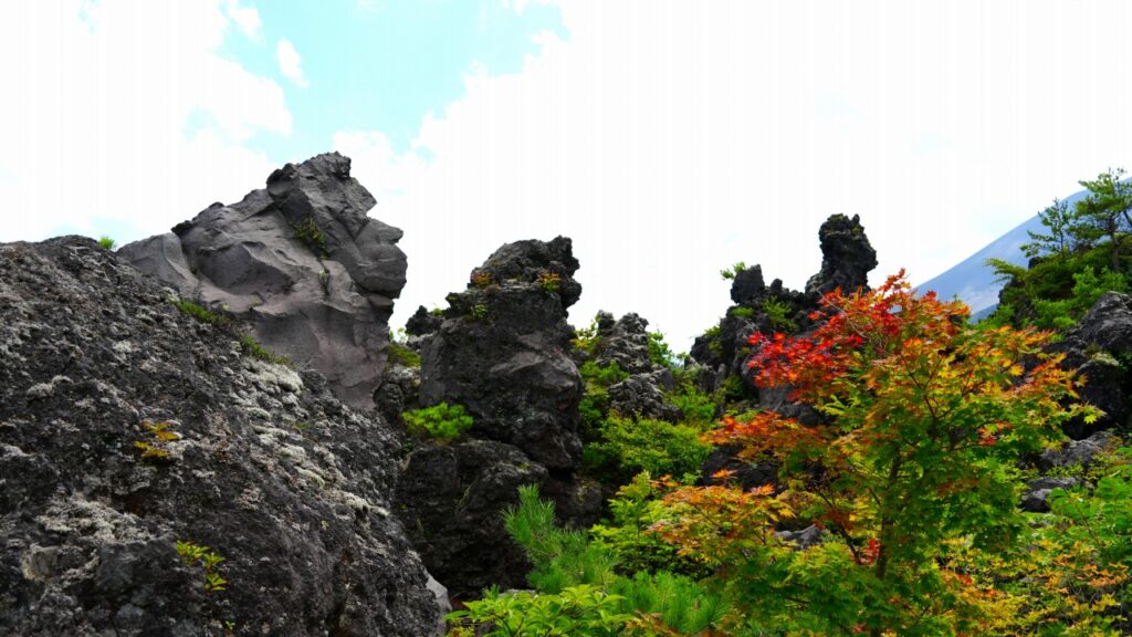 浅間山　鬼押出し園　猿岩集団
