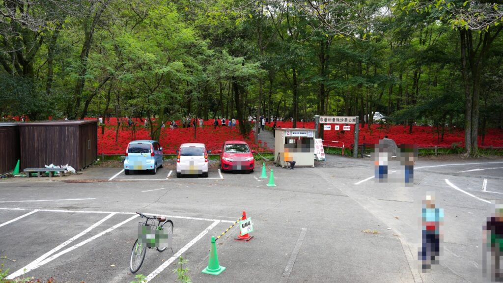 巾着田曼珠沙華公園　駐車場