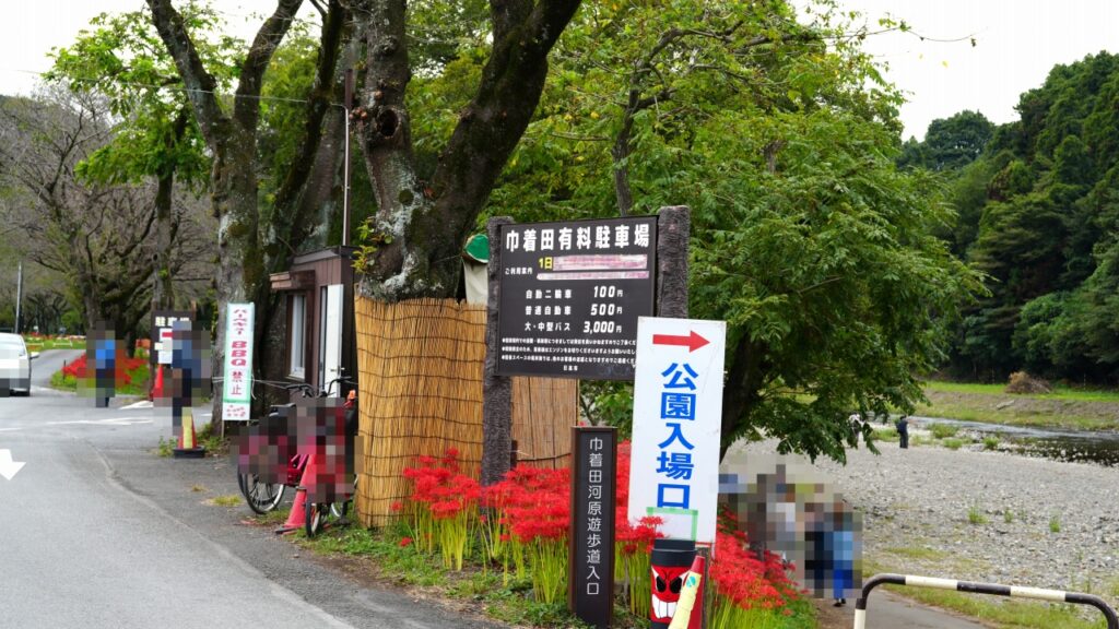 巾着田曼珠沙華公園　駐車場