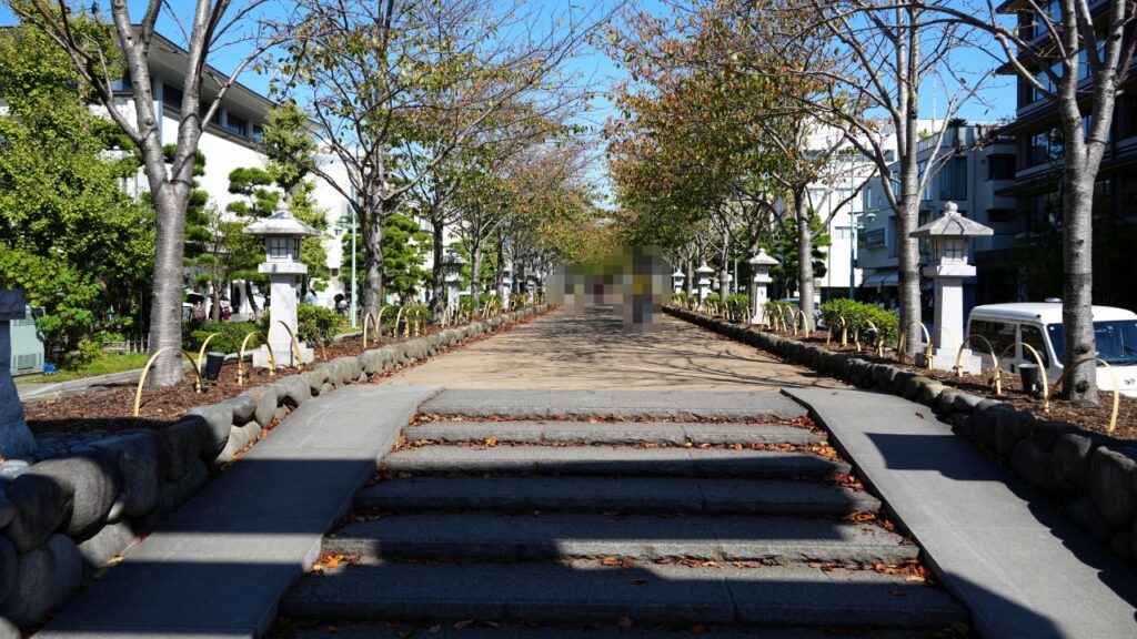 鎌倉 鶴岡八幡宮 段葛
