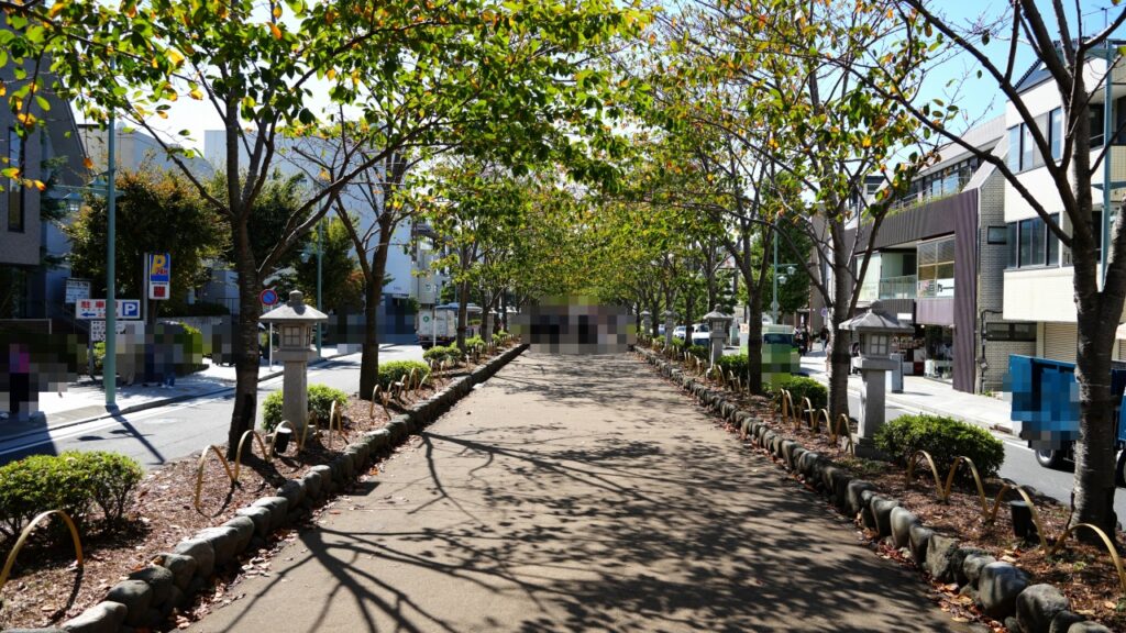 鎌倉 鶴岡八幡宮 段葛