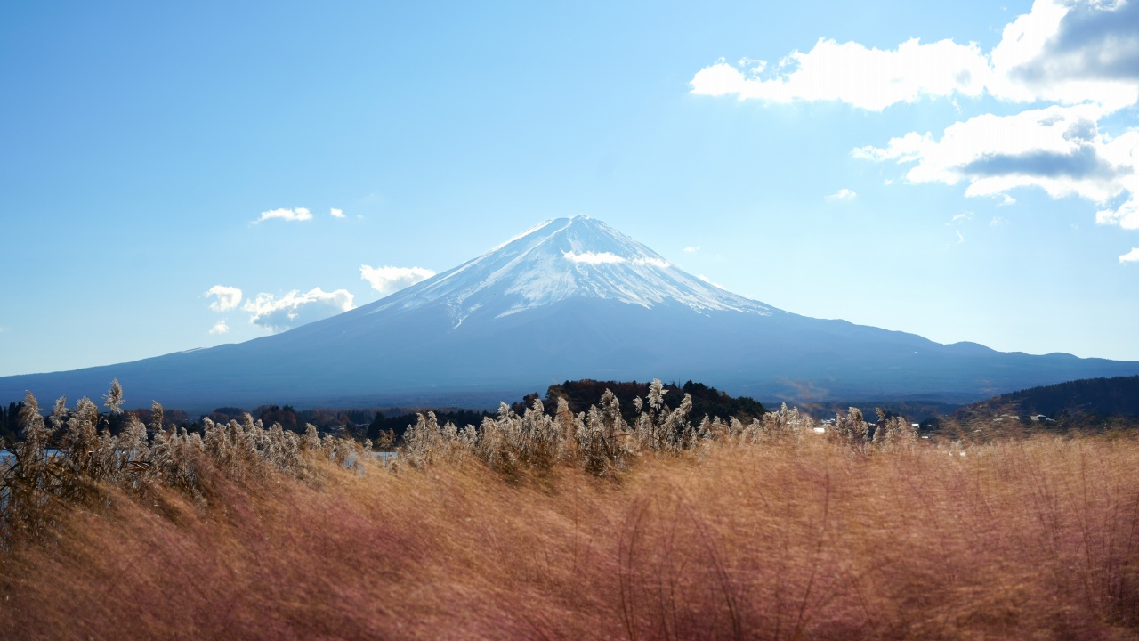 河口湖 大石公園からの富士山