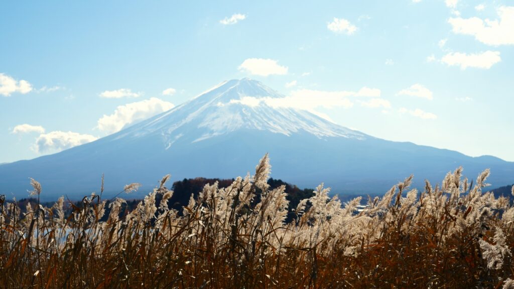 河口湖 大石公園からの富士山