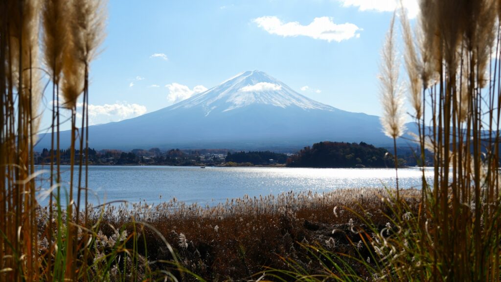 河口湖 大石公園からの富士山