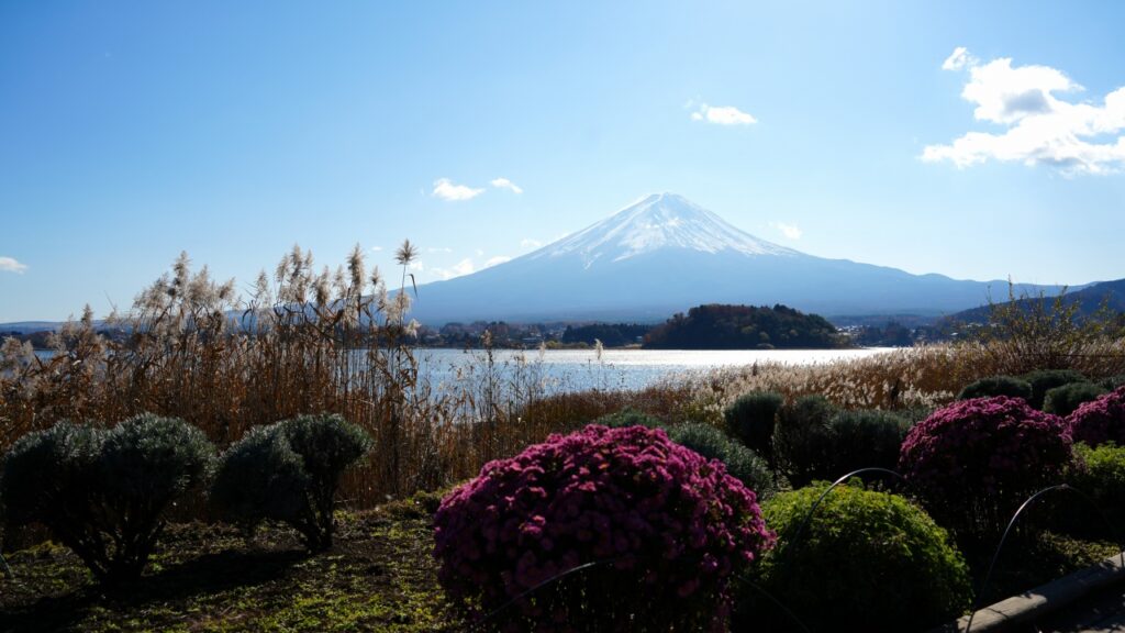 河口湖 大石公園からの富士山