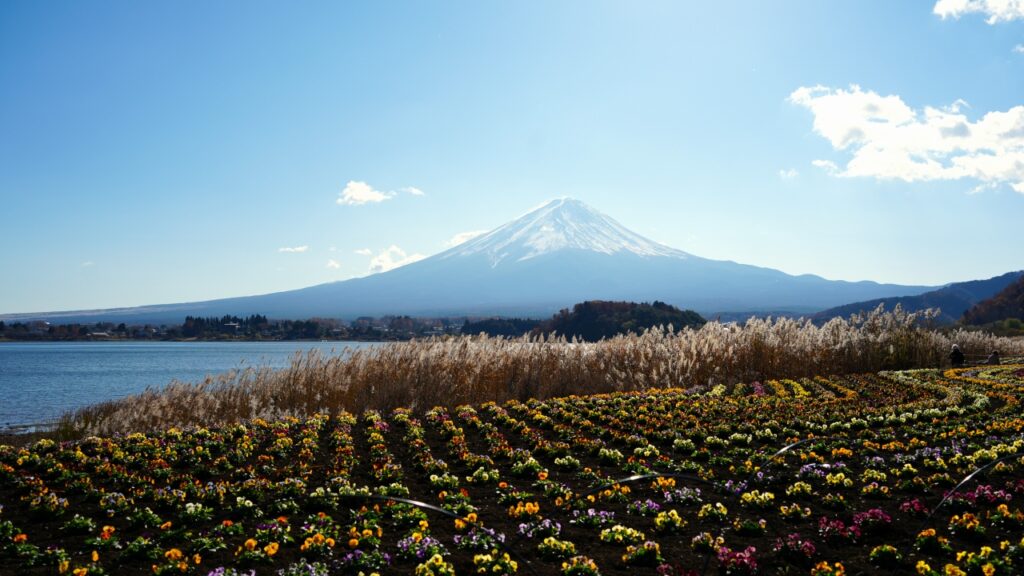 河口湖 大石公園からの富士山