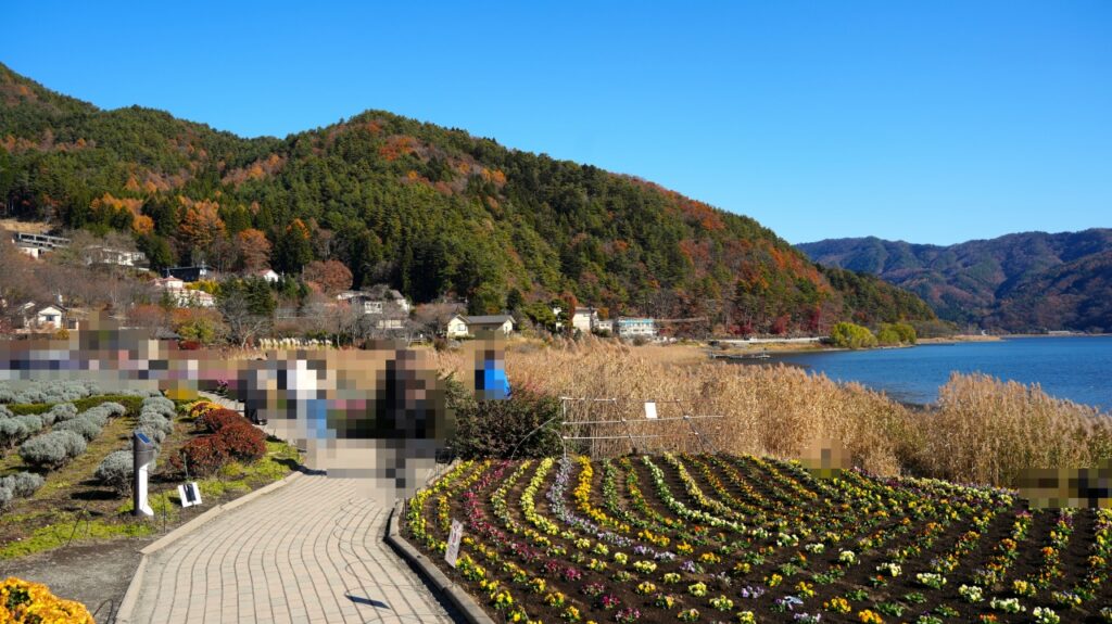 河口湖 大石公園