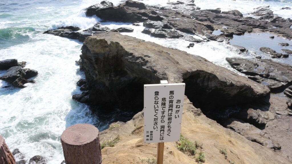 三浦半島 城ヶ島公園 馬の背洞門