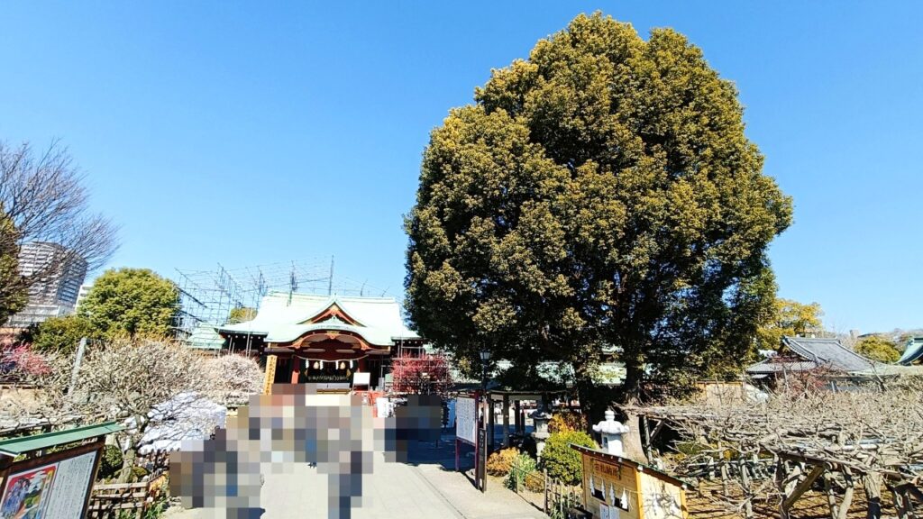亀戸天神社「梅まつり」