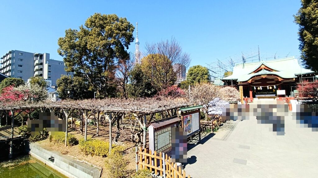 亀戸天神社「梅まつり」
