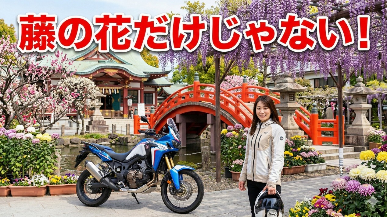 亀戸天神社の四季折々の絶景